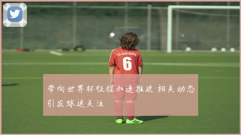 带向世界杯征程加速推进 相关动态引发球迷关注