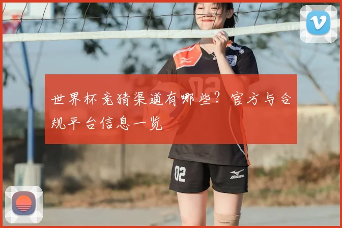 世界杯竞猜渠道有哪些?官方与合规平台信息一览